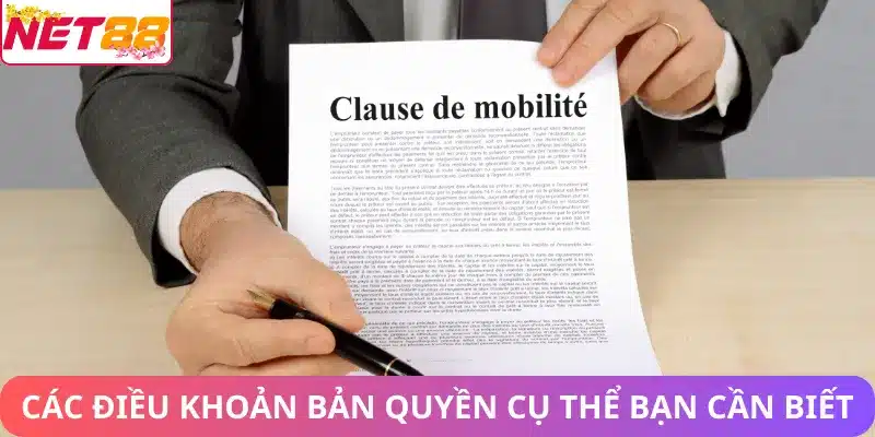 Các điều khoản bản quyền cụ thể bạn cần biết