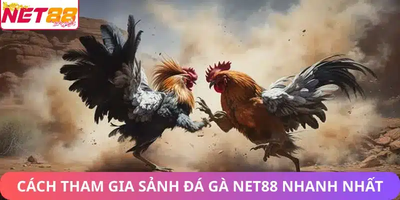 Đá Gà Net88 – Sảnh Game Gà Trực Tuyến Uy Tín & Hấp Dẫn Hướng dẫn tham gia sảnh game đá gà Net88 nhanh chóng