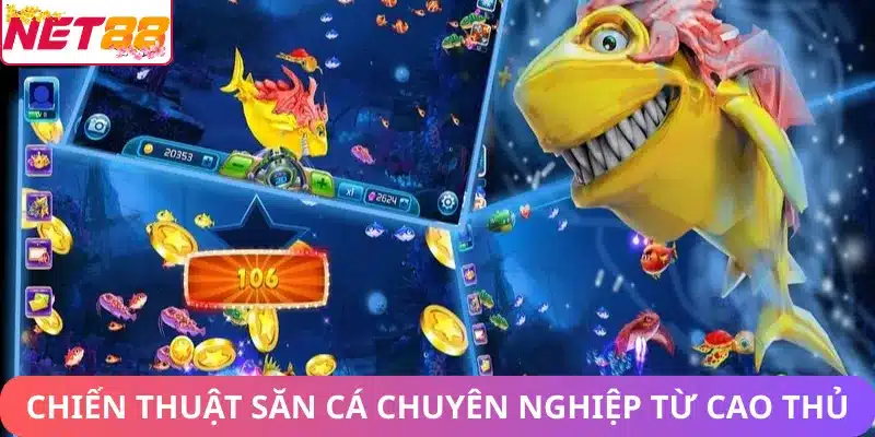 Chiến thuật săn cá chuyên nghiệp từ cao thủ