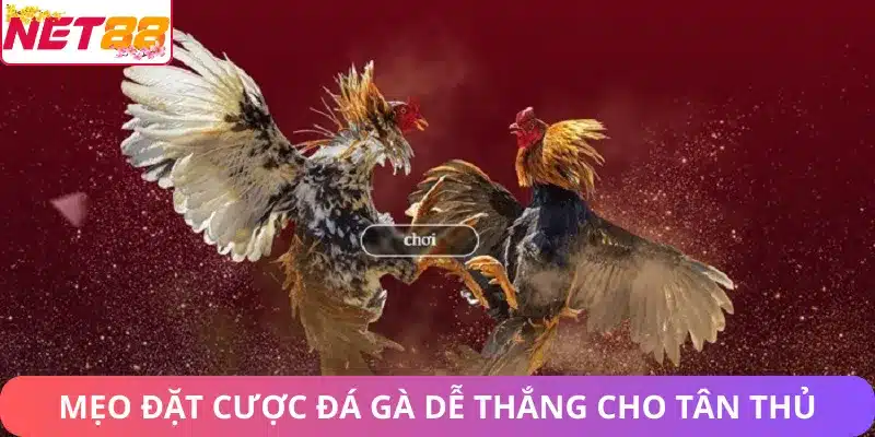 Đá Gà Net88 – Sảnh Game Gà Trực Tuyến Uy Tín & Hấp Dẫn Mẹo đặt cược đá gà dễ thắng