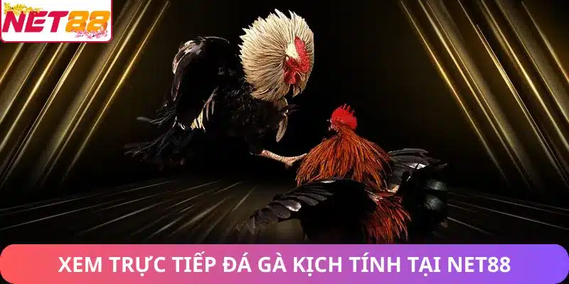 Đá Gà Net88 – Sảnh Game Gà Trực Tuyến Uy Tín & Hấp Dẫn Xem trực tiếp đá gà kịch tính tại Net88